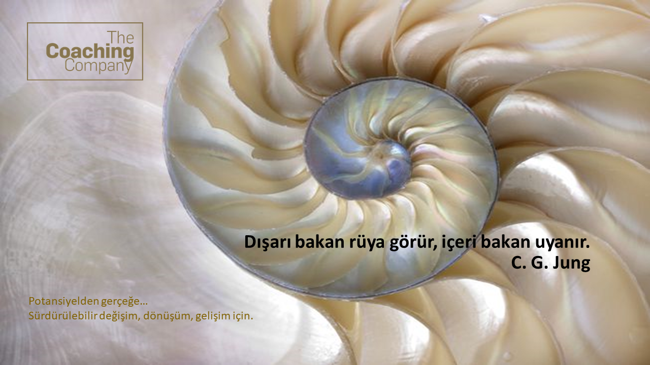 Dışarı bakan rüya görür, içeri bakan uyanır. C.G.Jung