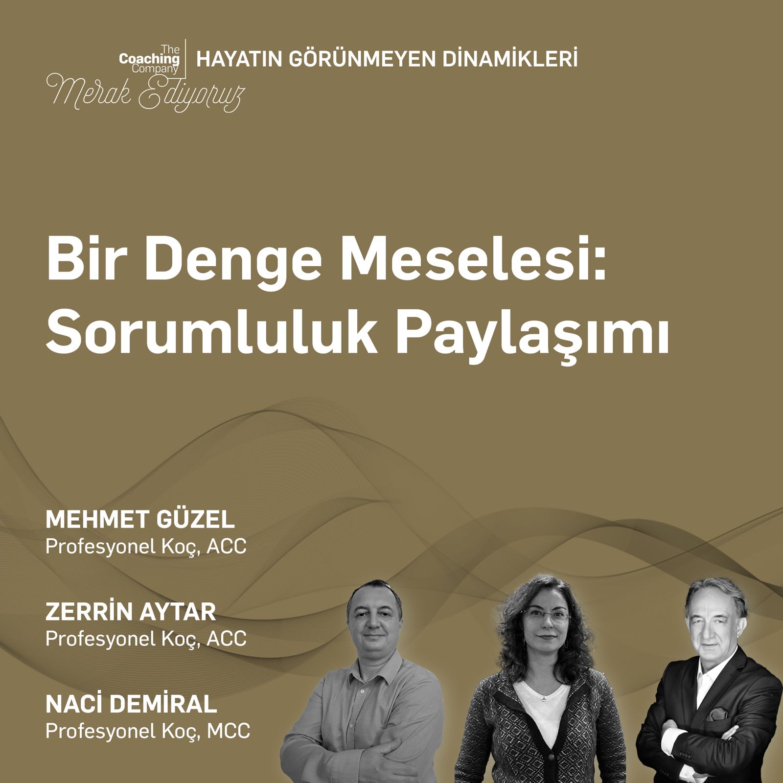 BİR DENGE MESELESİ