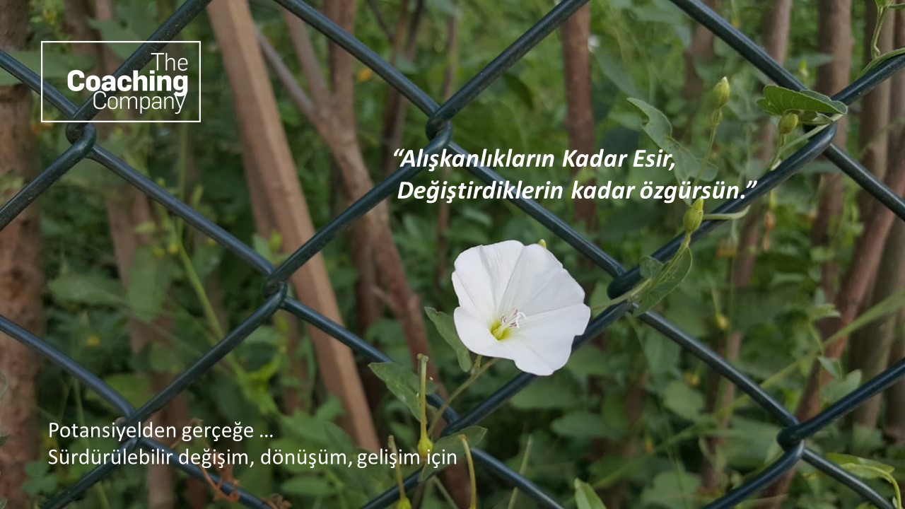 “Alışkanlıkların Kadar Esir, Değiştirdiklerin kadar özgürsün.”