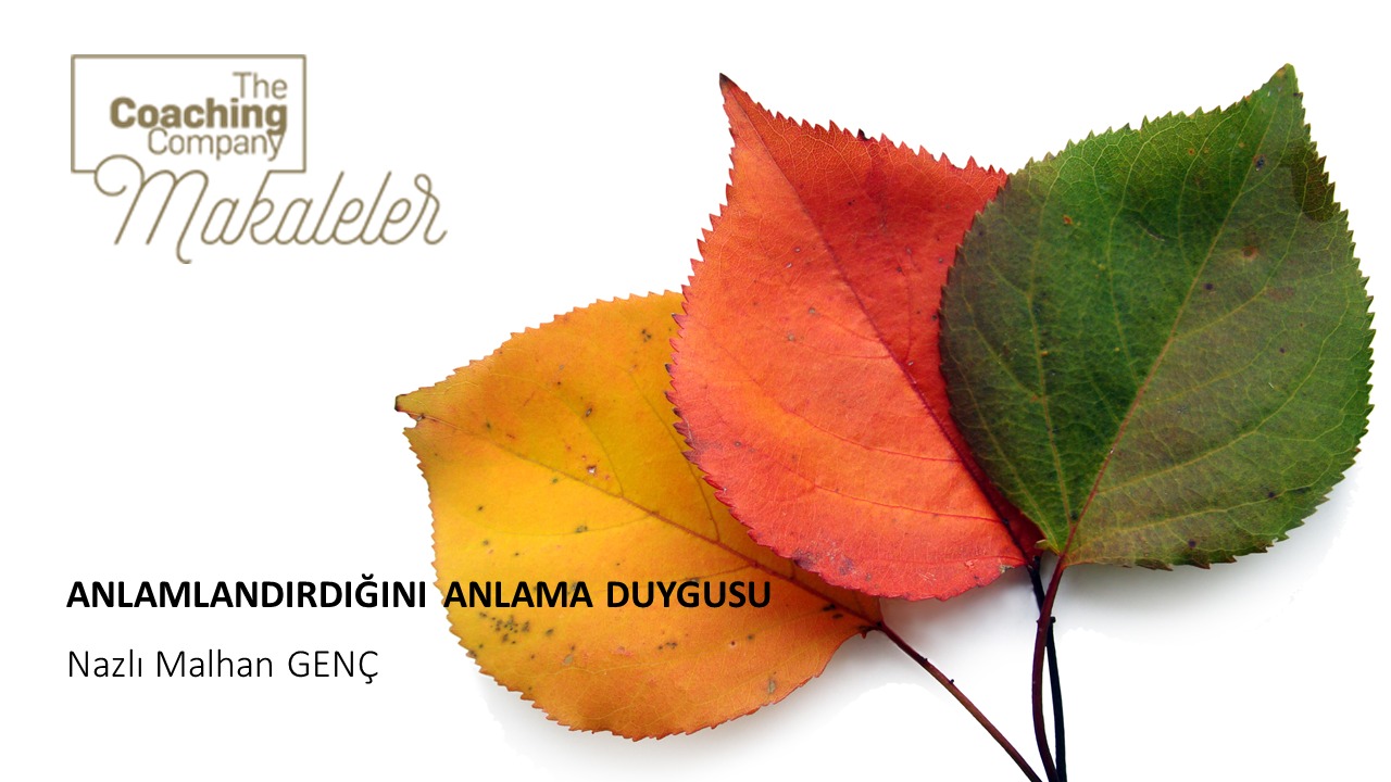 ANLAMADIĞINI ANLAMA DUYGUSU