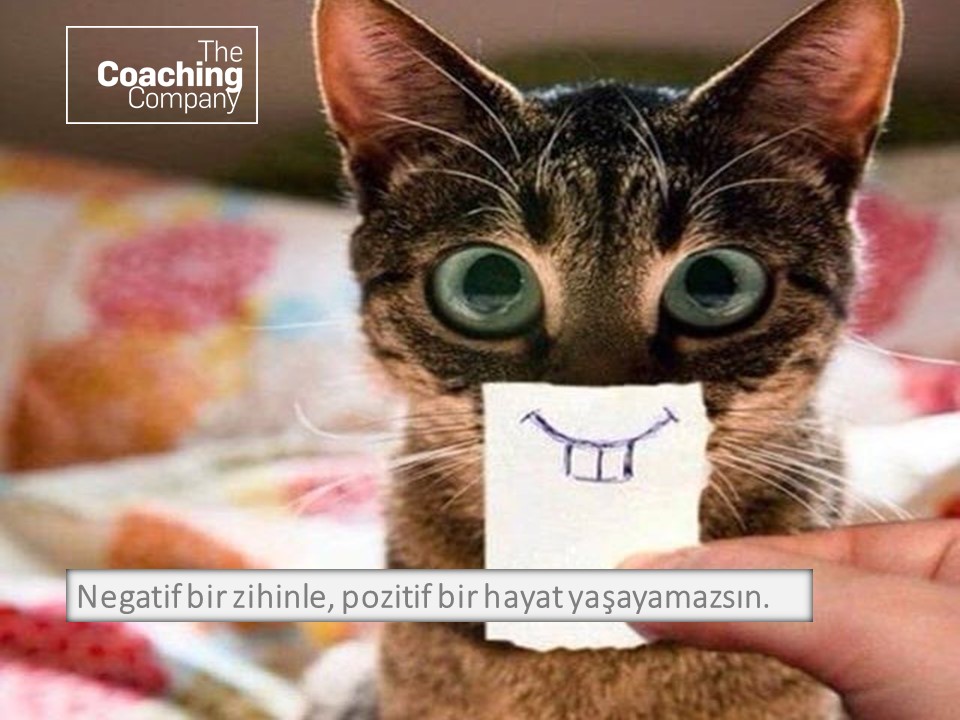 Negatif bir zihinle, pozitif bir hayat yaşayamazsın