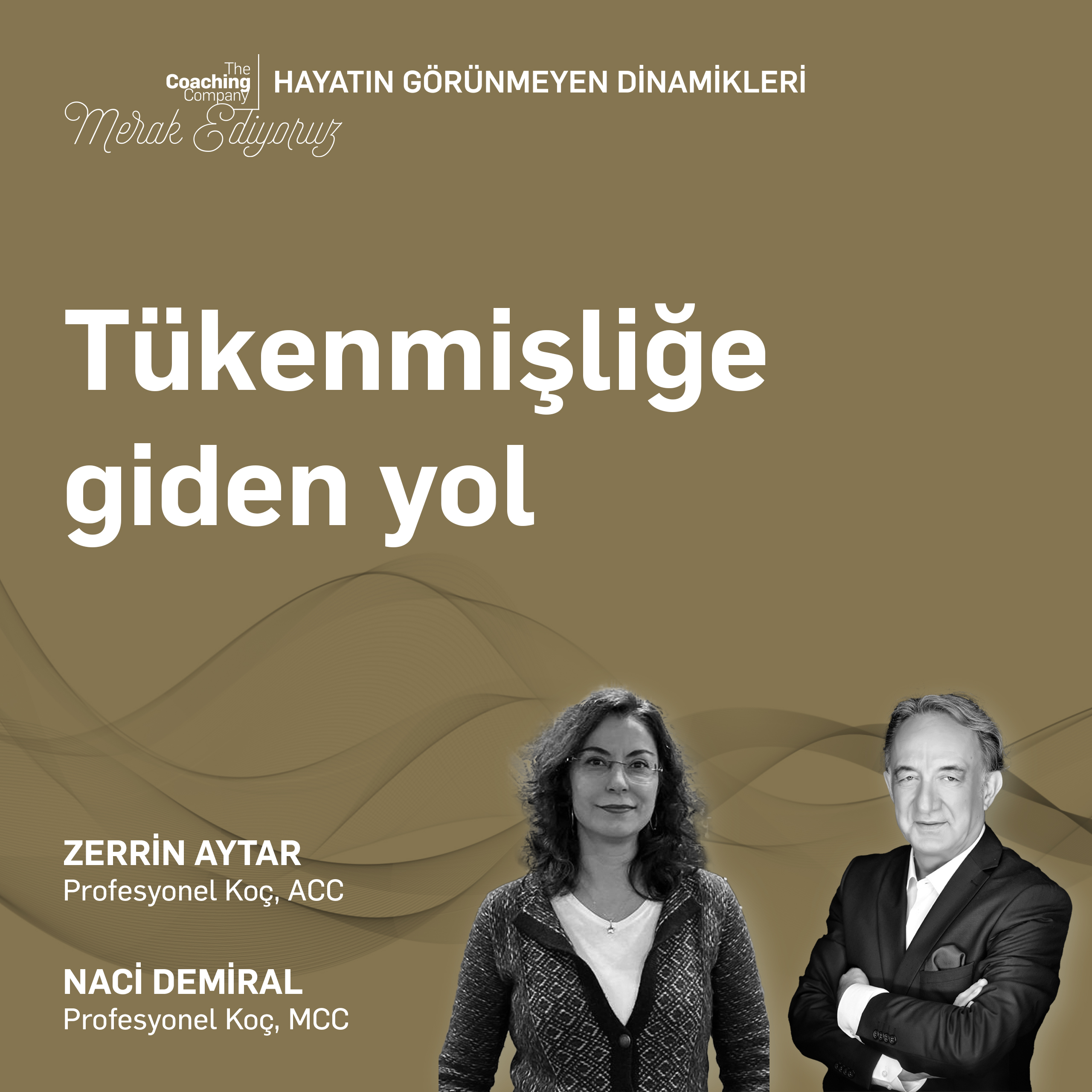 TÜKENMİŞLİĞE GİDEN YOL