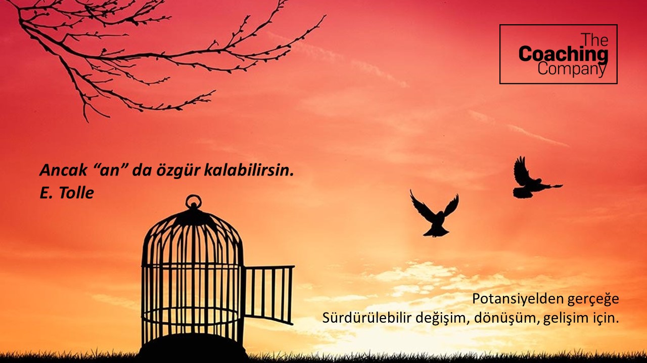 Ancak “an” da özgür kalabilirsin. E. Tolle