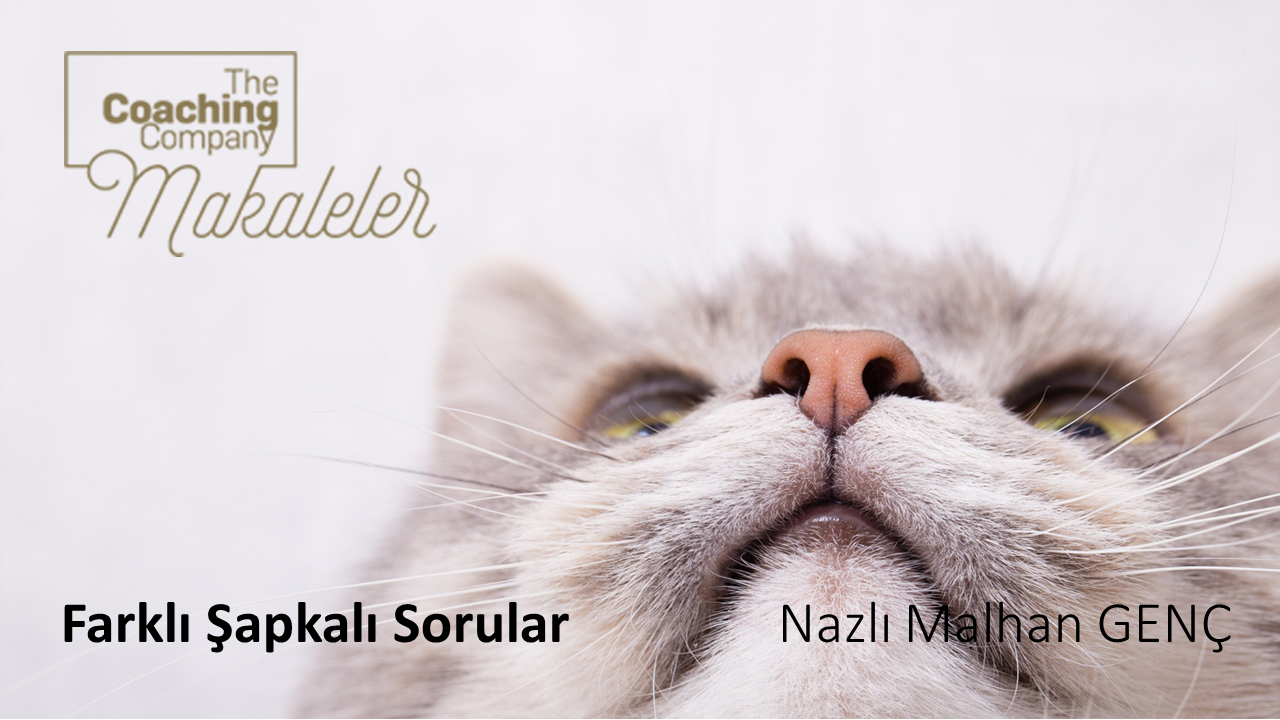FARKLI ŞAPKALI SORULAR